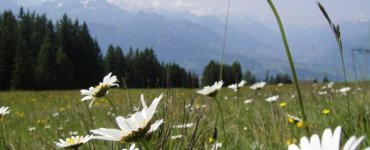 Niederhorn Beatenberg