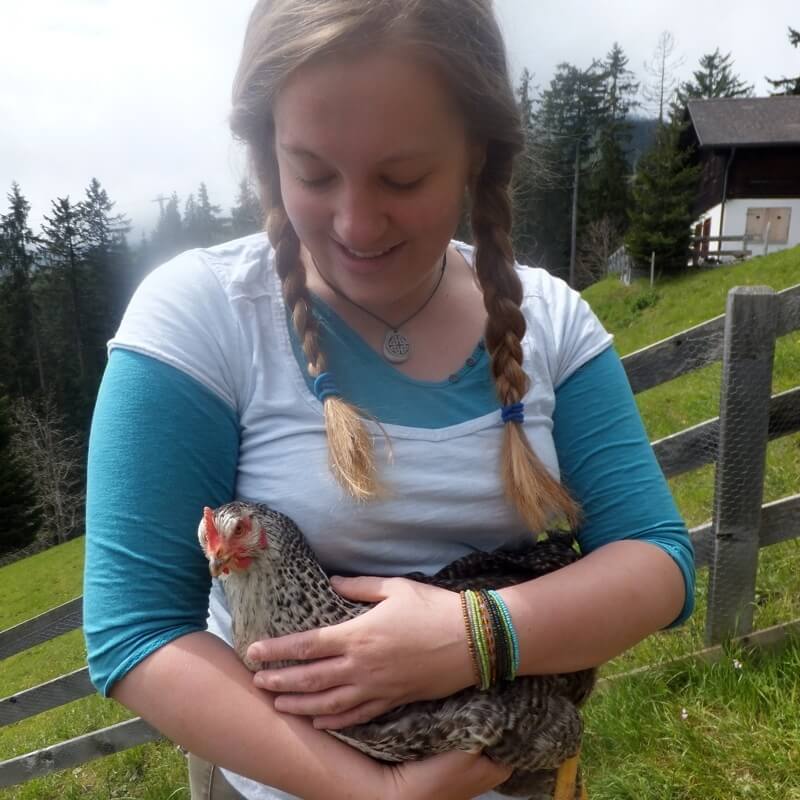 Keeping Chickens in Switzerland