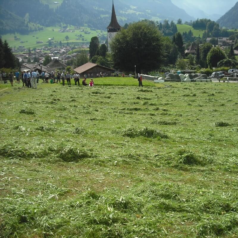 Frutigen Scything Competition - Switzerland