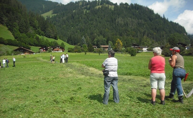 Frutigen Scything Competition - Switzerland