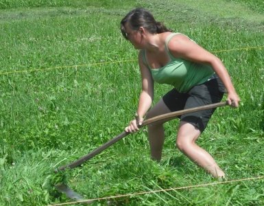 Frutigen Scything Competition - Switzerland