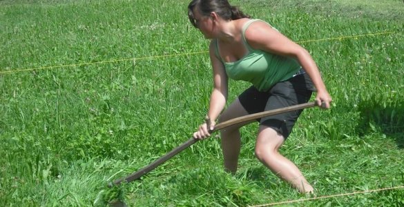 Frutigen Scything Competition - Switzerland