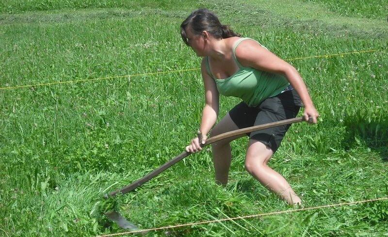 Frutigen Scything Competition - Switzerland