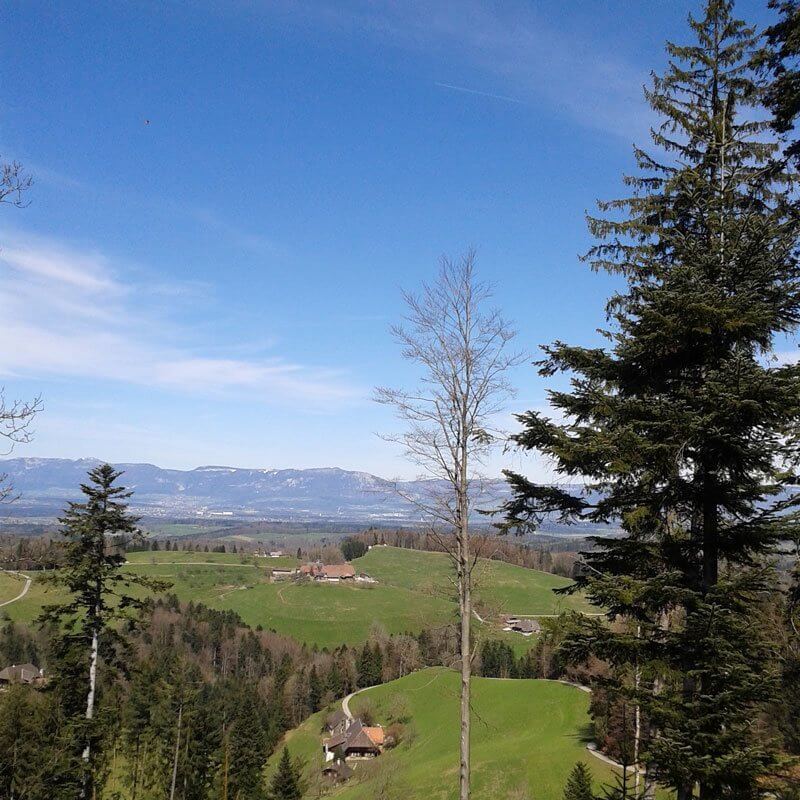 Lueg Hill Emmental