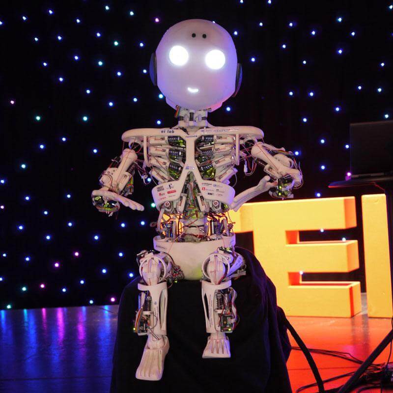 TEDxZurich 2013 - Roboy Humanoid Robot