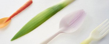 Biodegradeable Tableware - Graft