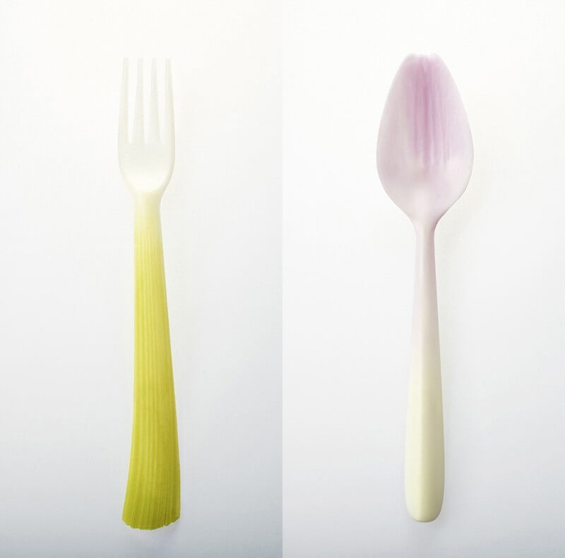 Biodegradeable Tableware - Graft