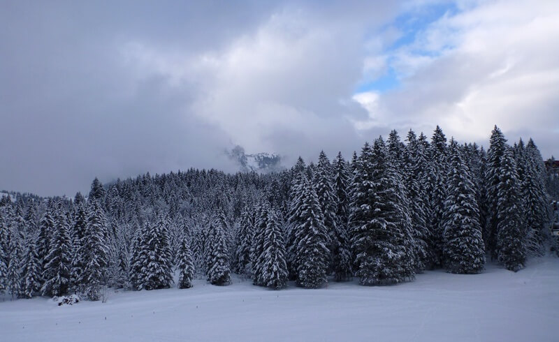 Engelberg Igloo Village - Igludorf