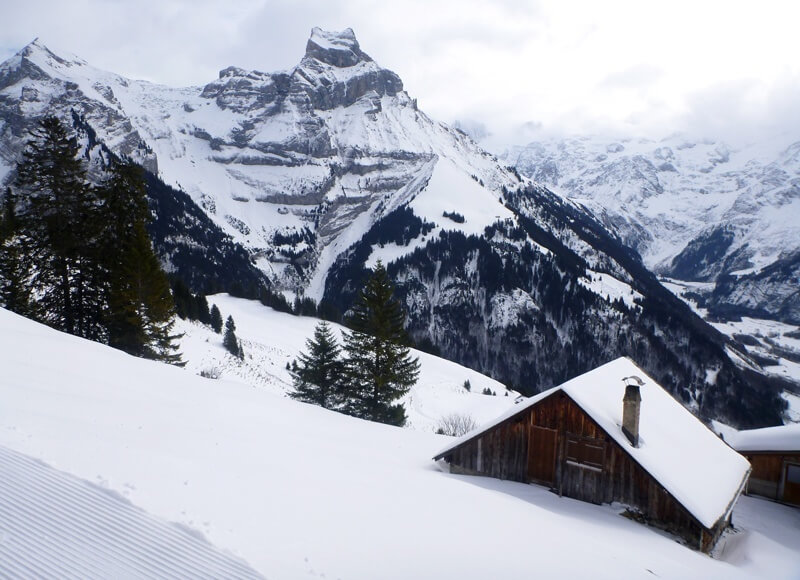 Engelberg Brunni Snow Shoe Hiking