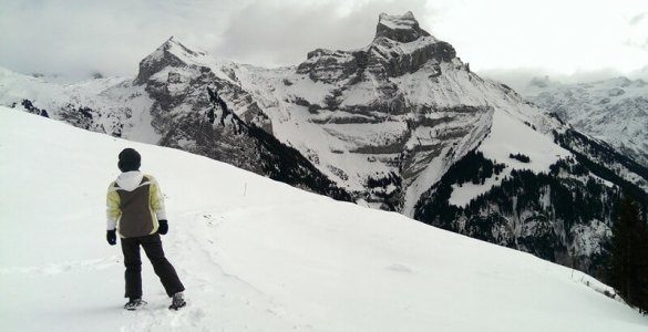 Engelberg Brunni Snow Shoe Hiking