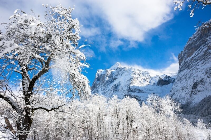 Speedyphoto - Winter Morning in Grindelwald