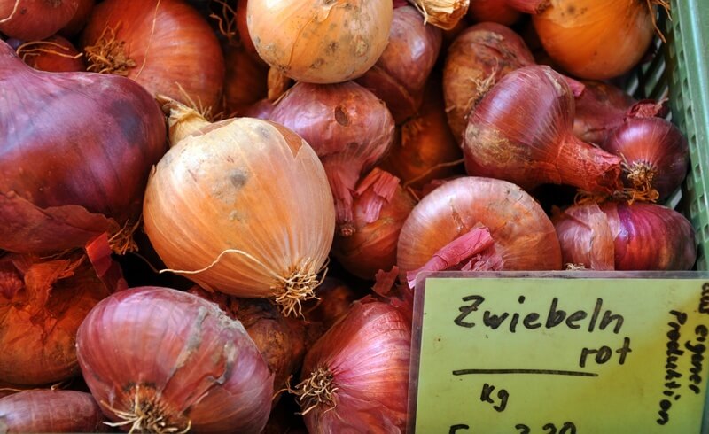 Farmers Market in Luzern