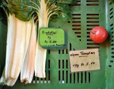 Farmers Market in Luzern