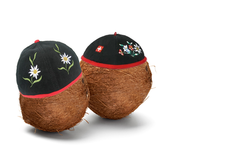 World Compliment Day - Swiss are coconuts