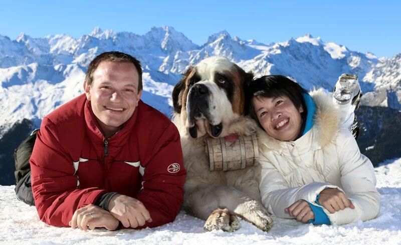 St. Bernard - Copyright by Sporting Photo Verbier