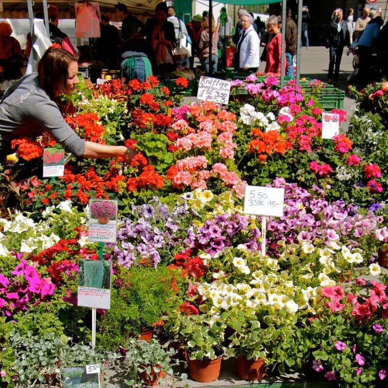 Flowers for Container Gardening