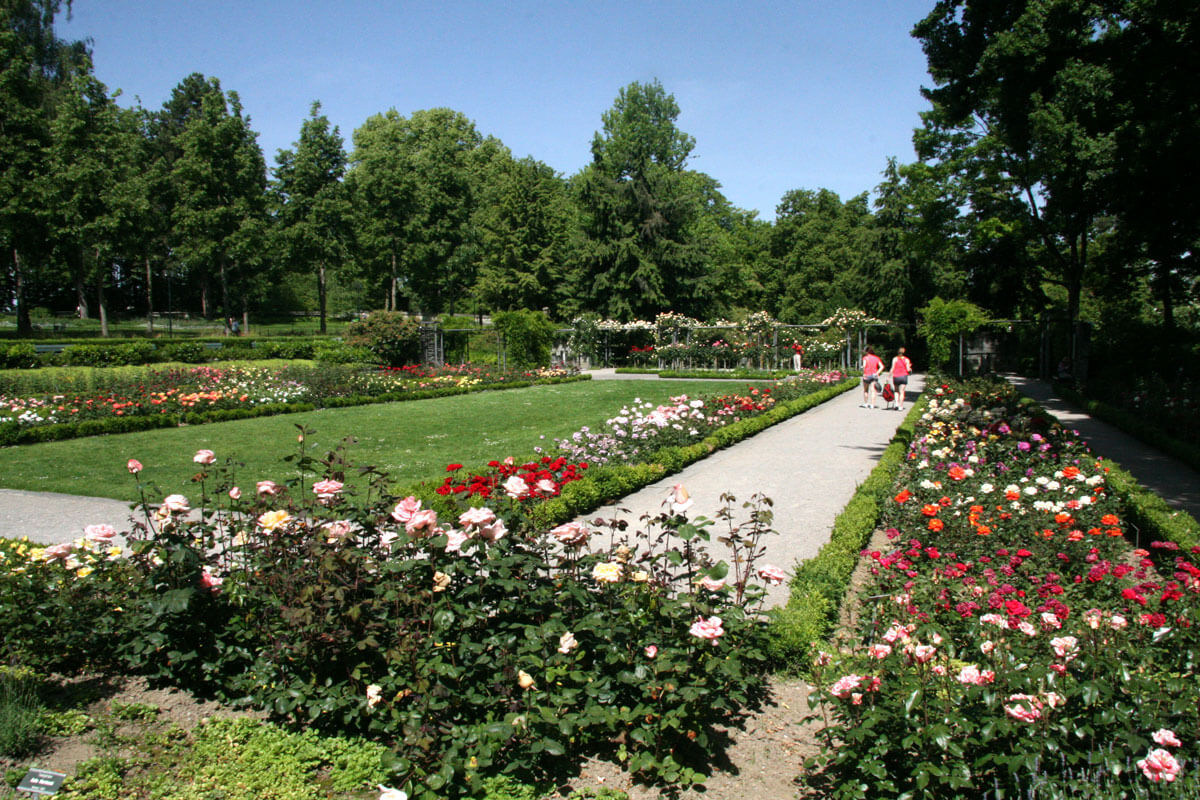 Rosengarten in Bern, Switzerland