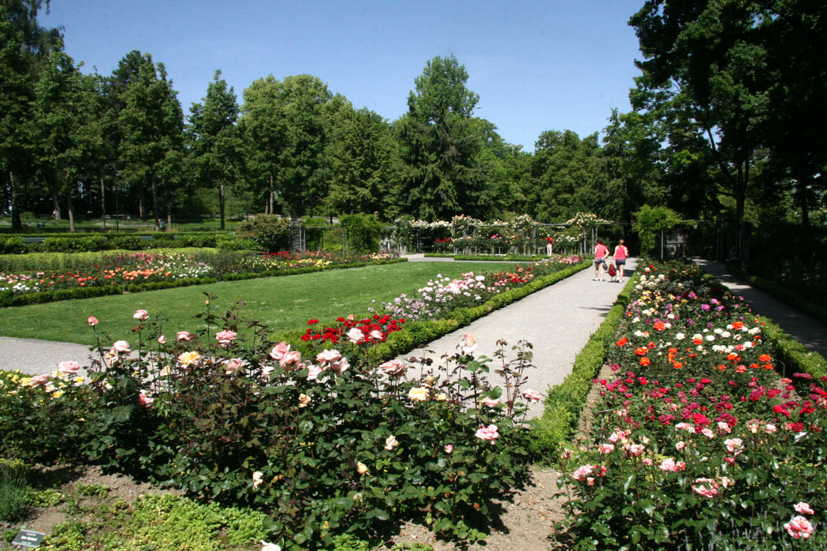 The best views of Bern, Switzerland? Try the Rosengarten.