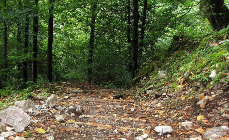 Castle Trail - Walk up to Rothenfluh