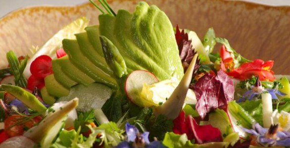 Hotel d'Angleterre - Vegetarian Delights