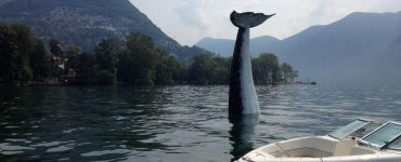 Lugano Whale Spotting