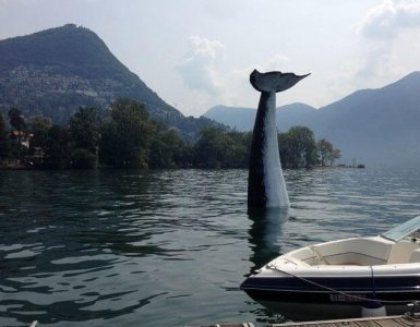 Lugano Whale Spotting