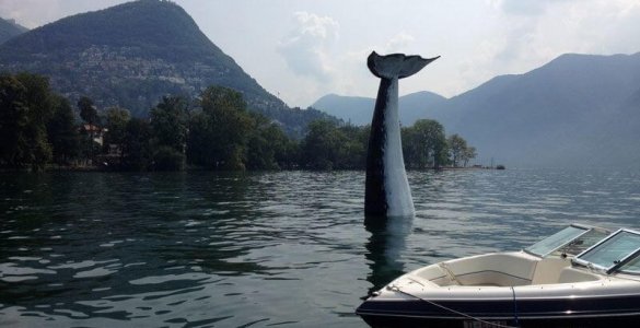 Lugano Whale Spotting