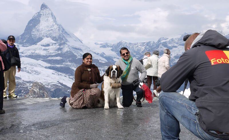 Swiss Valais - St. Bernard Dog Matterhorn