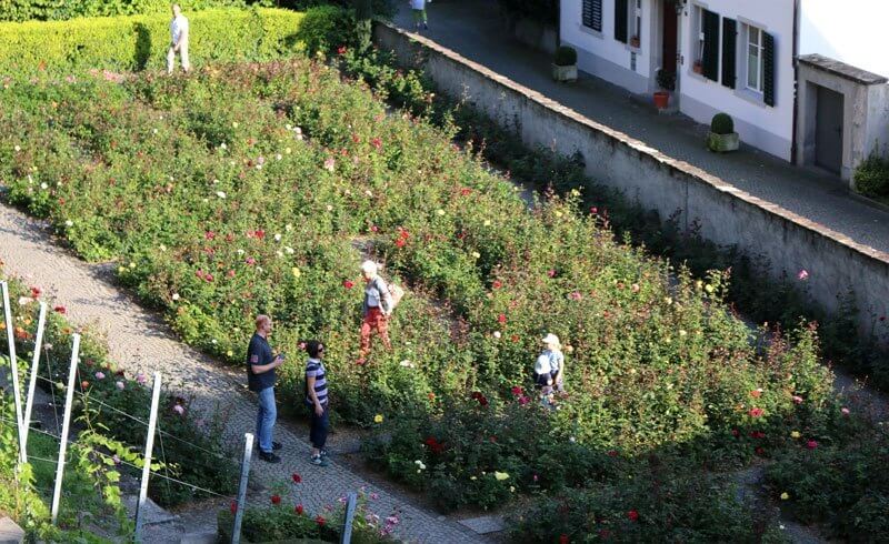 Rapperswil - City of Roses in Switzerland