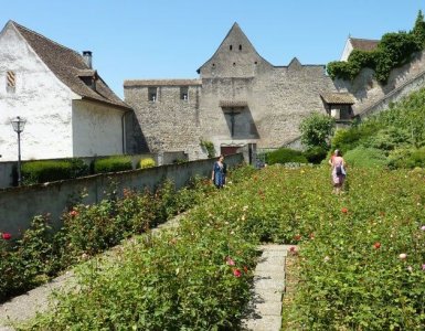 Rapperswil - City of Roses in Switzerland