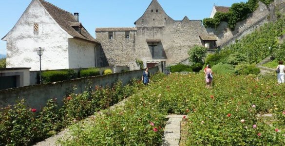 Rapperswil - City of Roses in Switzerland