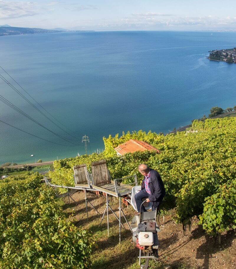 Chasselas - Vigneron Puidoux - Monsier Monnier