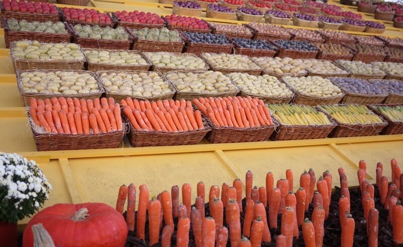 Olma Fair - Produce Exhibit