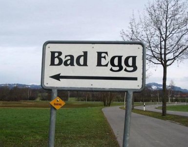 Bad Egg, Switzerland