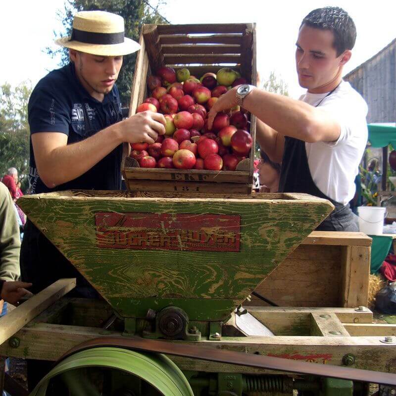 Thurgau - Cider Capital - Mostindien