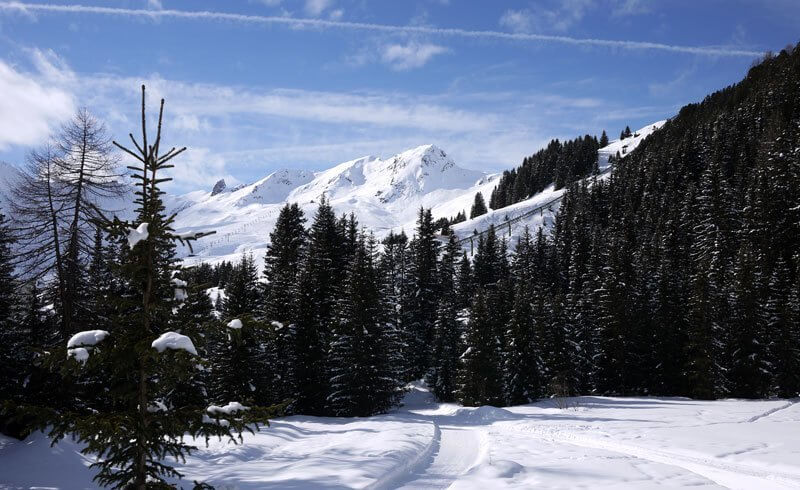 Arosa - Winter Wonderland