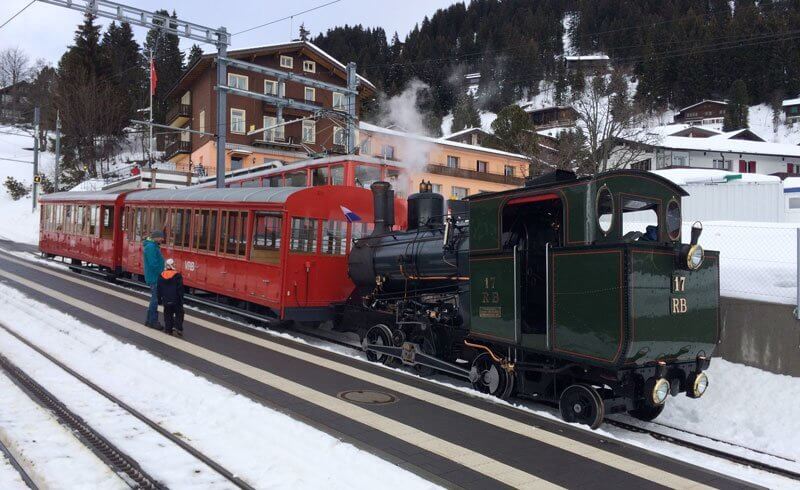 Mt. Rigi Cog Rail