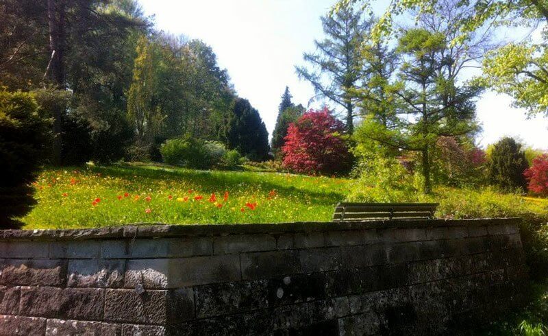 Zurich Cemetery - Friedhof Nordheim