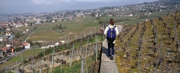 Hiking above Lutry