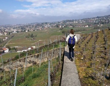 Hiking above Lutry