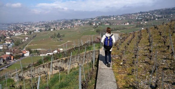 Hiking above Lutry