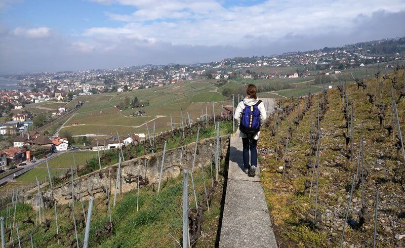 Hiking above Lutry