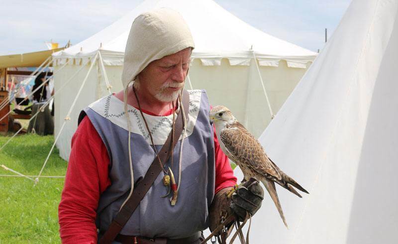 Medieval Festival Hinwil - Mittelalterspektakel turnei.ch