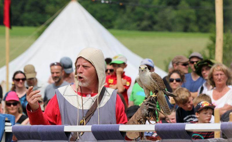 Medieval Festival Hinwil - Mittelalterspektakel turnei.ch