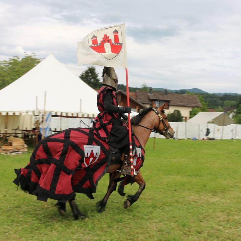 Medieval Festival Hinwil - Mittelalterspektakel turnei.ch