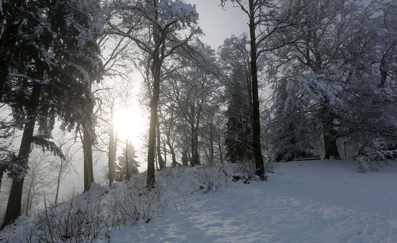 Switzerland Pfannenstil in Winter