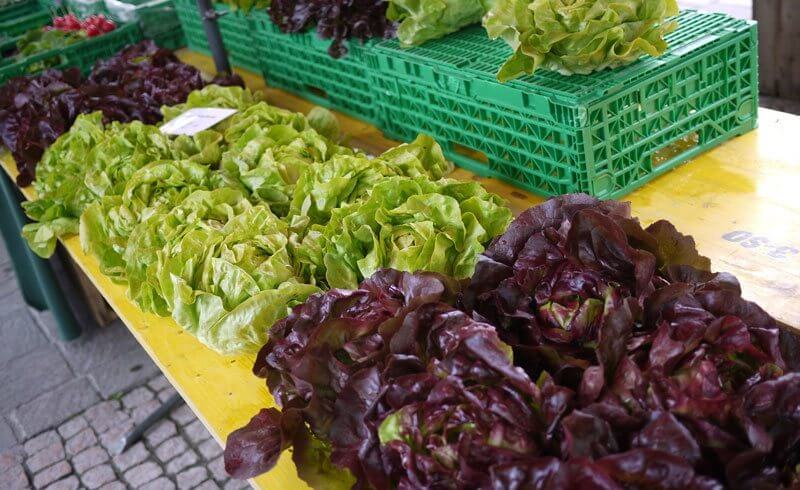 Farmer's Market Oerlikon