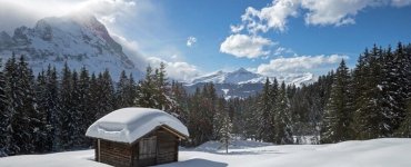 Speedyphoto - Stepfi Downhill Slope