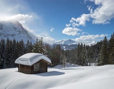 Speedyphoto - Stepfi Downhill Slope