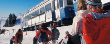 Mount Rigi - Sledding